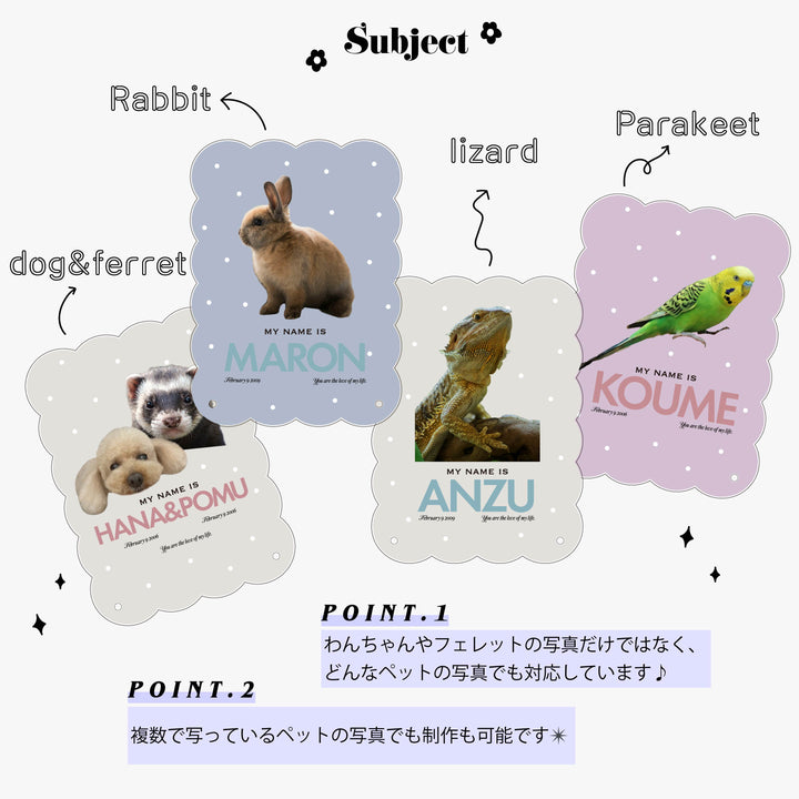 kumo タテ - pet/1cut - size:M