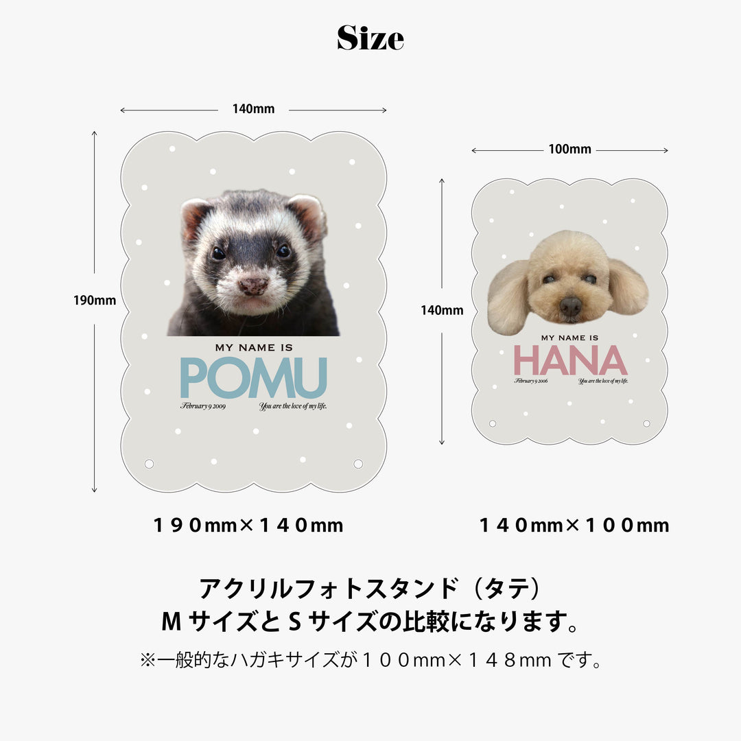 kumo タテ - pet/1cut - size:M